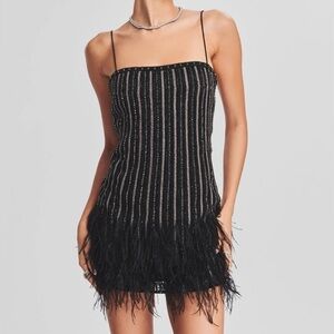 Elegant Black Feathered Dress